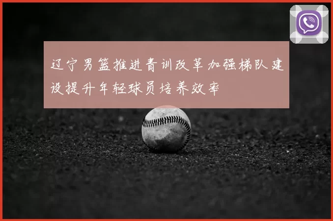 辽宁男篮推进青训改革加强梯队建设提升年轻球员培养效率